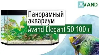 Панорамный аквариум Avand Elegant 50-100 л (трапециевидный)