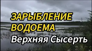Зарыбление Верх Сысертского пруда