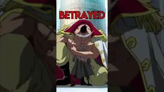 When Whitebeard was BETRAYED by his Son…