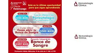 Lo que necesitas saber de las Transaminasas