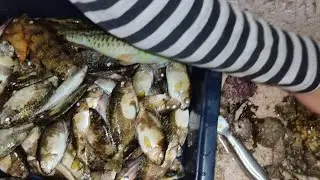 my catch from spearfishing, september 4 2023, kahit sobrang alon,