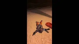 Как же я люблю снег 😍❄️☃️