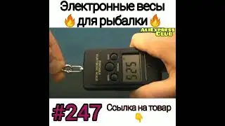 Весы для рыбалки