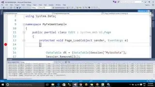 2016 07 21 21 07  Net WebService