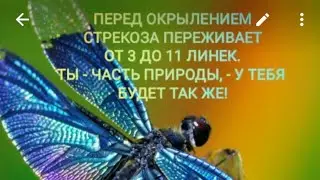 Магический спринт для денег