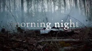 morning night - Into The Woods