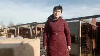 знакомство с приютом 