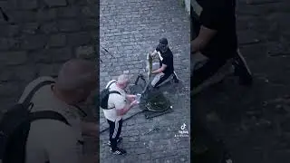 Яка риба ловиться в Бельгії