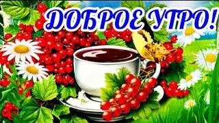 🌺Прогоняй тоску и лень!С Добрым Утром!Счастливых выходных!