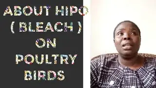 ABOUT HIPO ( BLEACH ) ON POULTRY BIRDS