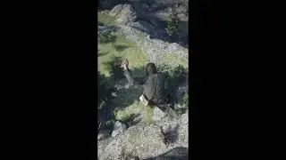 red dead redemption 2 что если упасть на лошадь с высоты #short