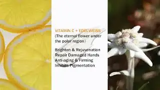 🎥Neutriherbs Vitamin C Hand Cream