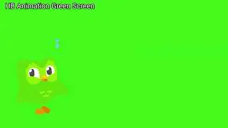 Owl 🦉 Animation Green Screen