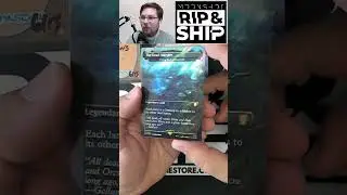 THIS Is a MASSIVE Surge Foil! Lord of the Rings Collector Booster Pack 