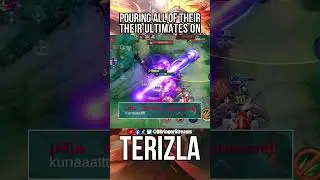 "TERIZLA IS NOT A TANK!" THEN EXPLAIN THIS!!!