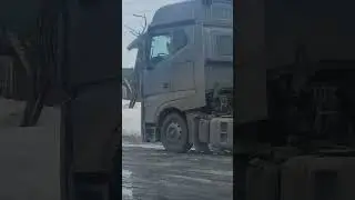 Разбудили четвероного коллегу #дальнобой #газель #влоги
