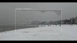 green code - SnowDay