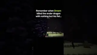 Dream Uses Fist To Kill Ender Dragon
