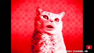 Preview 2 Numa Cat 2022 V3 Effects (P2MDE)