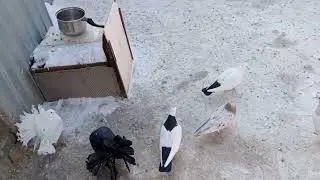 Погода радует нас!