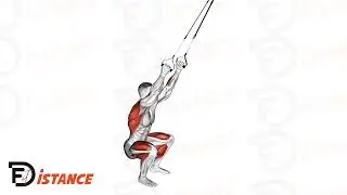 Squat sautés avec TRX