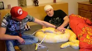 Legenda pytona ... w łóżku
