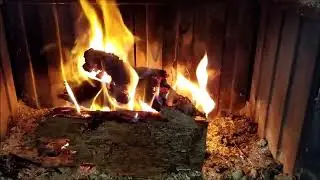 Семь видов жизненных опасностей. 1. Аутоагрессия.