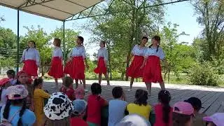 Коллектив "Созвездие" исполняет танец "Лебедушка"