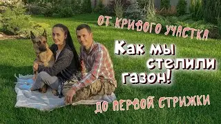 Постелили рулонный газон сами II От сорняка до первой стрижки