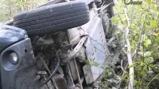 дтп лось