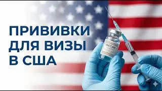 Вакцинация для Грин-карты: Какие прививки нужны в 2026 году? 