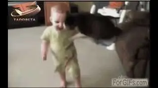 Ninja Cat Fly Kicks Baby