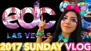 EDC LAS VEGAS 2017 – SUNDAY (VLOG) DRAKE, ALISON WONDERLAND, DIPLO, VINI VICI, GAMMER