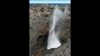 BLOWHOLE in New South Wales, Australia