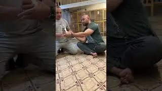 Сочхой таг сиёх ва таг сафед #dushanbe #голуби #tadjikistan #kabootar #shorts