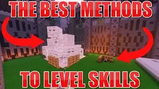 The Best Skill Leveling Methods | Hypixel SkyBlock