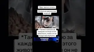 подписывайтесь 😜