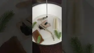 Кто придумал клей? Первые моделисты 