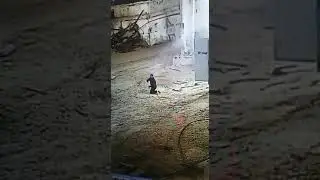 техника безопасности