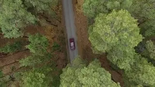 Forest and Highway Road Drone View | Stock Footage - Videohive