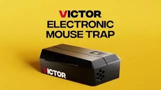 Do It Right: Victor Electronic Traps 2024
