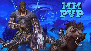 Night Fae MM Hunter The Heavy Hitter | Shadowlands Hunter PvP 9.0.5