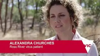 Mosquitoes - protect yourself against mosquito bites