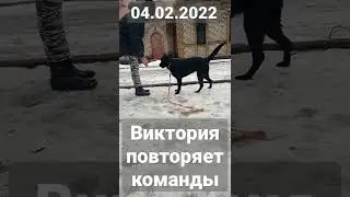 7 февраля 2022 г.