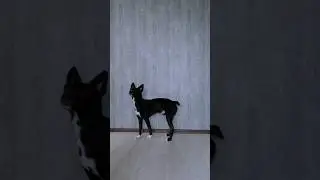Ну что тут сделаешь.... по-другому никак 🤷‍♀️