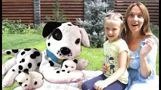 В НАШЕЙ СЕМЬЕ ПОПОЛНЕНИЕ! Собачка мама с  сюрпризом от 