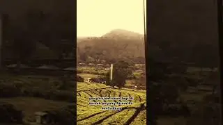 Antara Benci dan Rindu