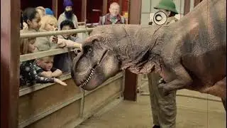 Dino Week at Twinlakes Park