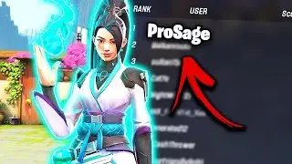 WHAT A RANK 1 SAGE PLAYER LOOKS LIKE! - OP SAGE Moments & 200IQ Tricks + Valorant Highlights Montage