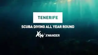 Scuba diving in Tenerife with Xwander